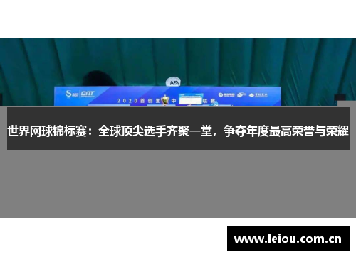 世界网球锦标赛：全球顶尖选手齐聚一堂，争夺年度最高荣誉与荣耀